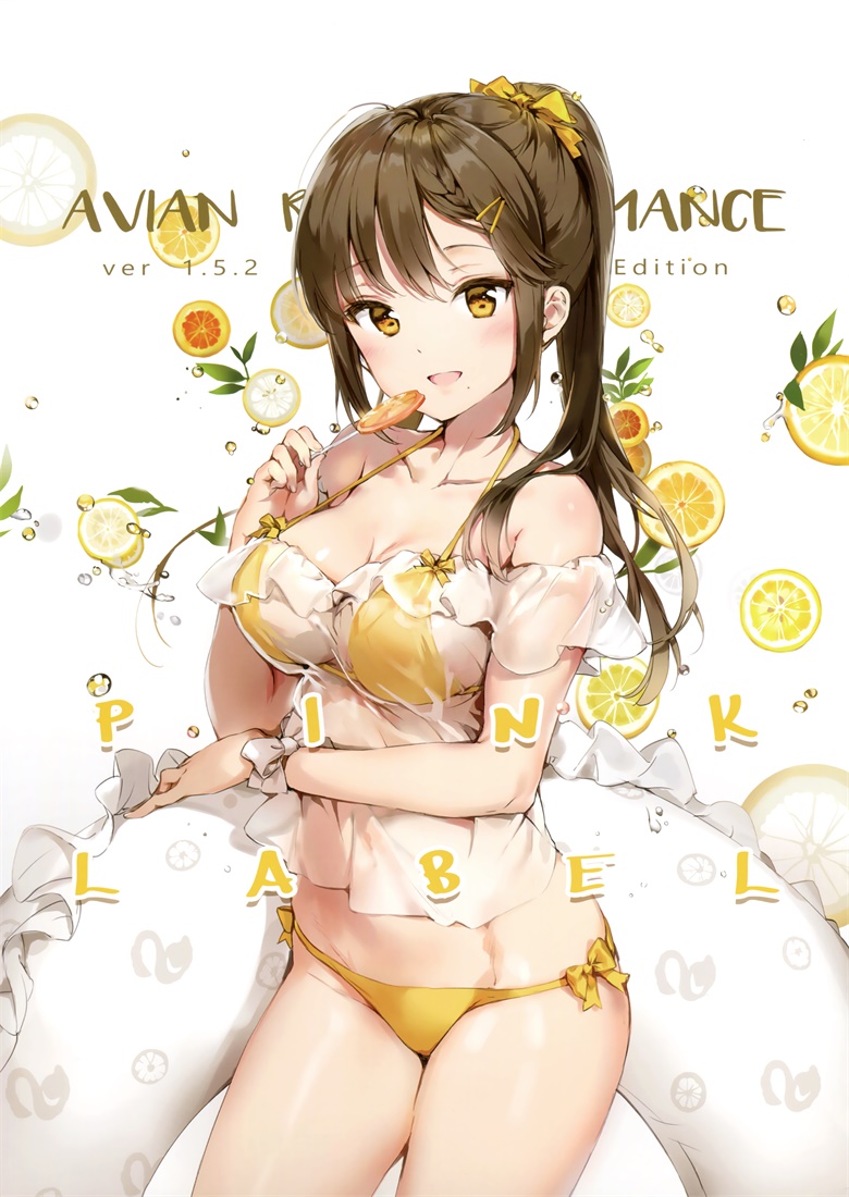(C92) [メガネ少女 (Anmi)] Avian Romance Pink Label 2